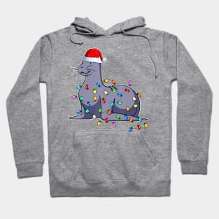 Seal Wearing Santa Hat Xmas Seals Lover Christmas Hoodie